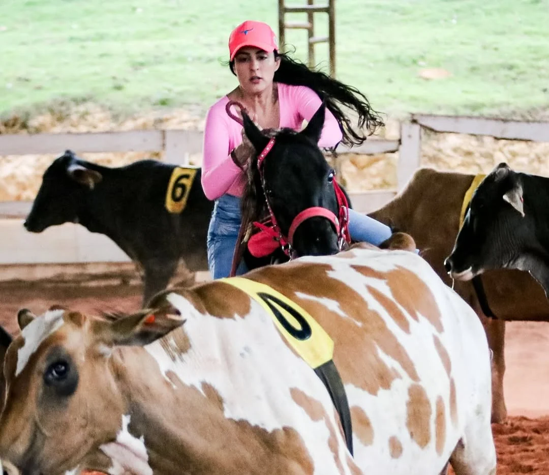 Ela a cavalo conduzindo o gado numerado na pista